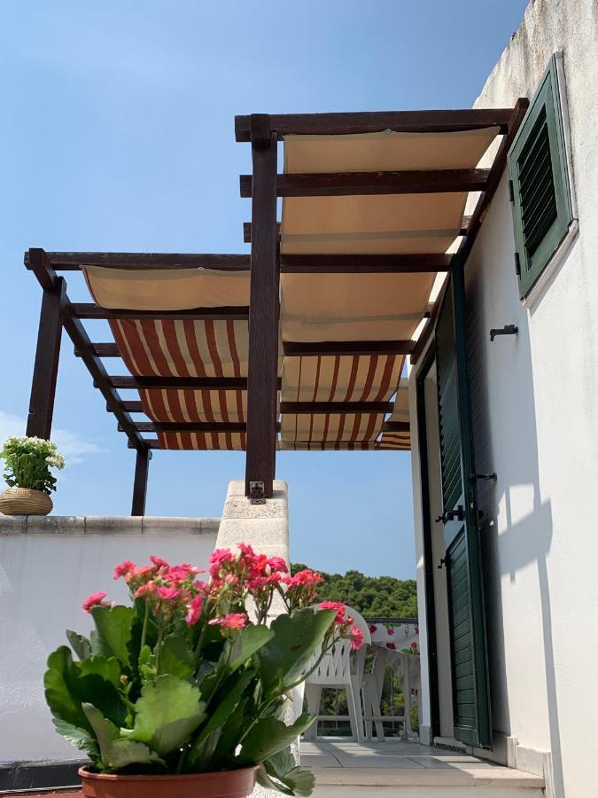 Casa Del Gelso Appartement San Menaio