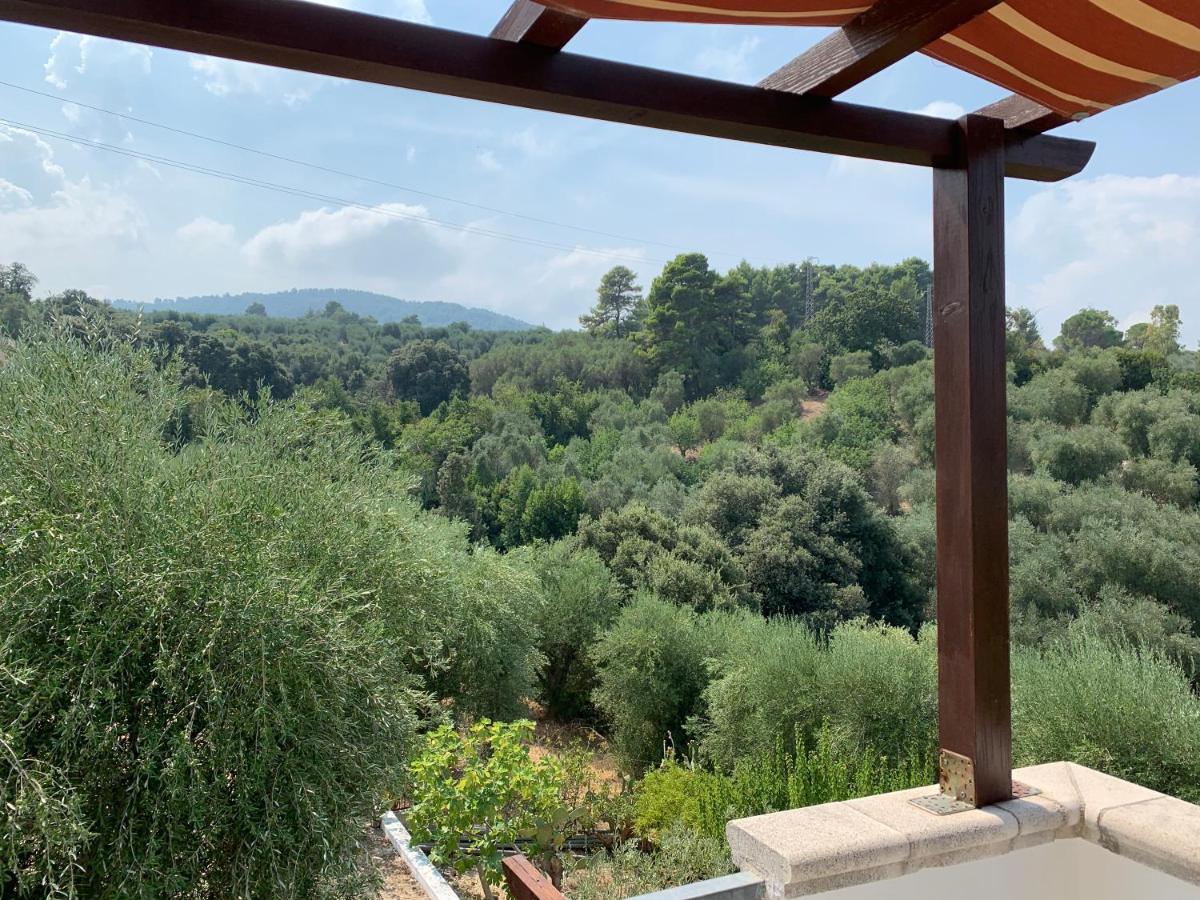 Casa Del Gelso *