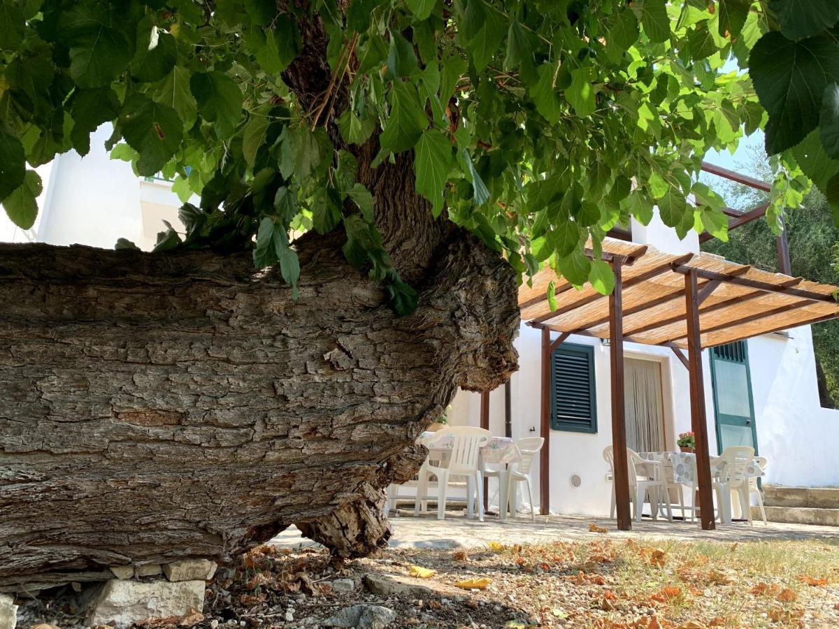 Casa Del Gelso * San Menaio